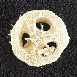 loofah