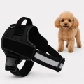 Extra Small Dog Harness