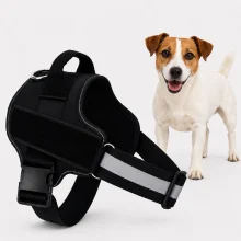 Dog Harness for Small Dogs