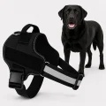 Extra Large No Pull Dog Harness