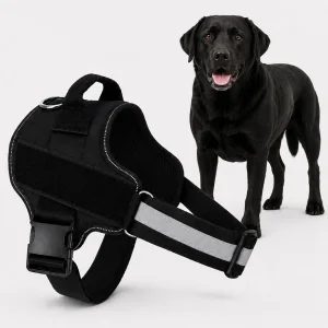 XL Size No Pull Dog Harness to Fit Large Labradors and Golden Retrievers Boxer German Shepherd Rottweiler