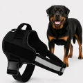 No Pull Dog Harness for NZ Dogs