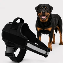 No Pull Dog Harness for NZ Dogs