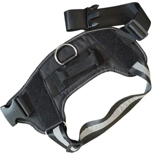 no pull dog harness for nz dogs unattached