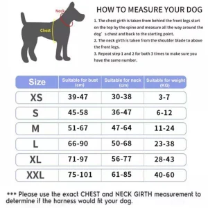 which harness is the correct size for your dog slection guide