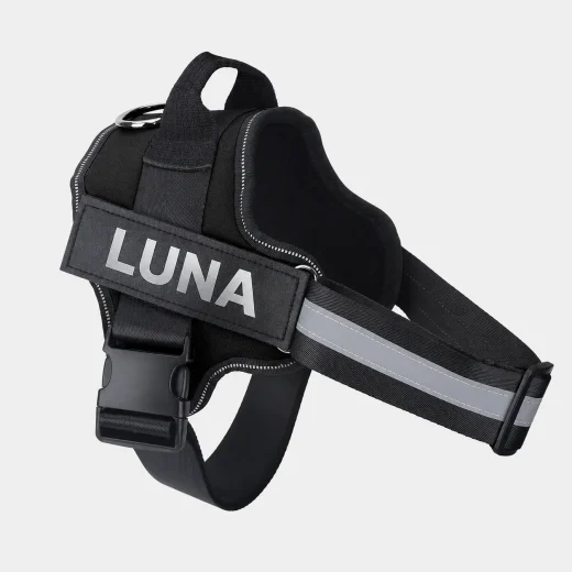 Black dog harness with name LUNA printed on the personalised side label