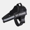 Black dog harness with phone number printed on the personalised side label