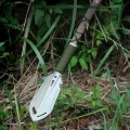 EDC shovel with a branch being used as the handle