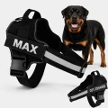 No Pull Harness with Name and Phone Number Black Reflective XXL
