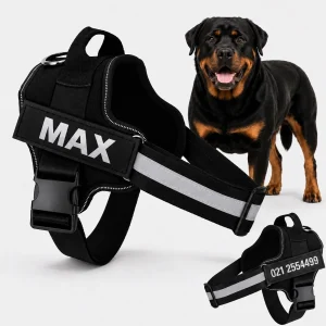 No Pull Harness with Name and Phone Number Black Reflective XXL for Chest 75–101 cm
