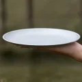 Side view of a lightweight camping plate showing its shallow raised rim